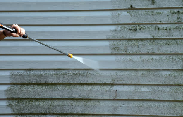 Best DIY Mold Remediation Support Services in Seth Ward, TX