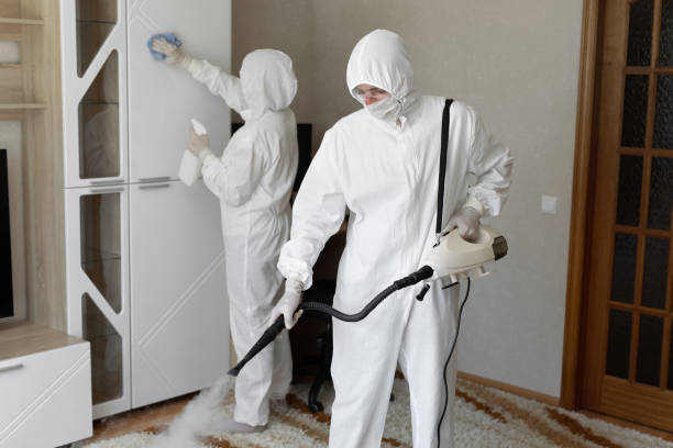Best Residential Mold Remediation in Seth Ward, TX