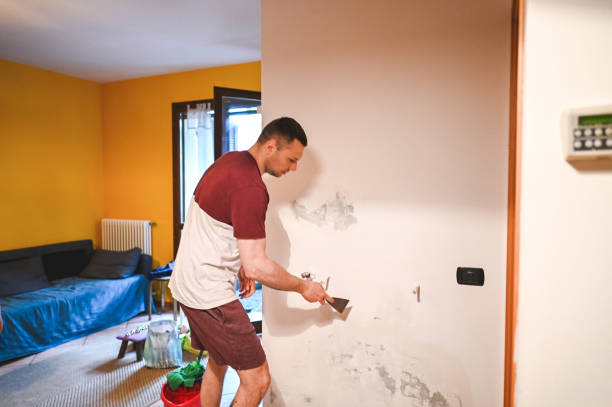 Best Attic Mold Remediation in Seth Ward, TX